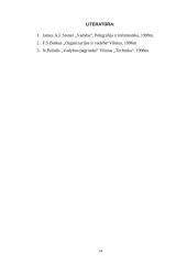 Organizacinis projektavimas 14 puslapis