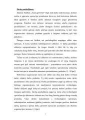 Organizacinis projektavimas 7 puslapis