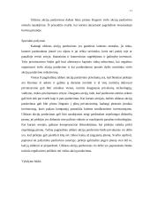 Privatizavimas 11 puslapis