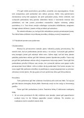 Privatizavimas 12 puslapis