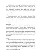 Privatizavimas 16 puslapis
