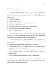 Privatizavimas 6 puslapis
