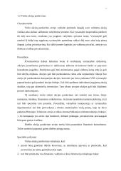 Privatizavimas 7 puslapis