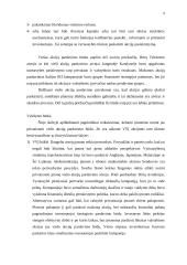 Privatizavimas 8 puslapis