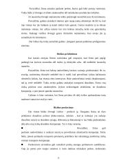 Rizikos valdymas smulkiajame versle 10 puslapis