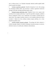 Rizikos valdymas smulkiajame versle 12 puslapis