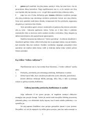 Rizikos valdymas smulkiajame versle 2 puslapis