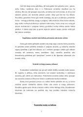 Rizikos valdymas smulkiajame versle 4 puslapis