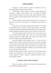 Rizikos valdymas smulkiajame versle 5 puslapis