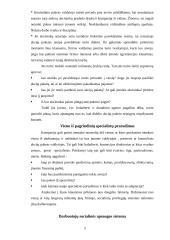 Rizikos valdymas smulkiajame versle 8 puslapis