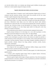 Socialinio pedagogo etika 12 puslapis