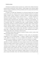 Socialinio pedagogo etika 4 puslapis