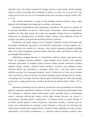 Socialinio pedagogo etika 5 puslapis