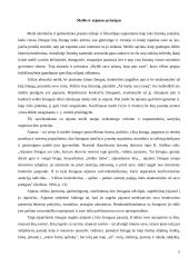 Socialinio pedagogo etika 7 puslapis