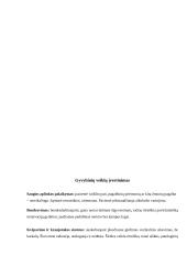 Slaugos istorija. Nervinė bulimija. Psichikos ir elgesio sutrikimai 3 puslapis