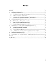 Sprendimų priėmimo procesas bei metodai 2 puslapis