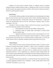 Sprendimų priėmimo procesas bei metodai 13 puslapis