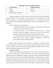 Sprendimų priėmimo procesas bei metodai 20 puslapis