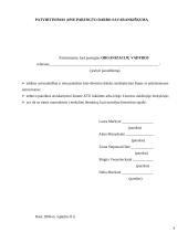 Sprendimų priėmimo procesas bei metodai 4 puslapis