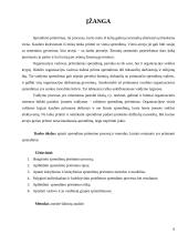 Sprendimų priėmimo procesas bei metodai 6 puslapis