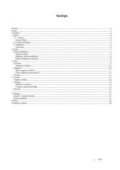 Stichijos 2 puslapis