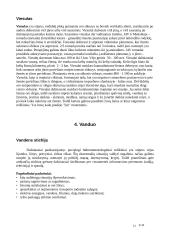 Stichijos 12 puslapis