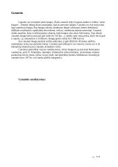 Stichijos 13 puslapis