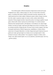 Stichijos 19 puslapis