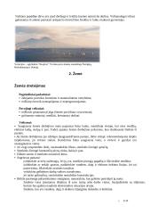 Stichijos 7 puslapis