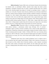 Iracionali individualių investuotojų elgsena 10 puslapis