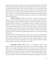 Iracionali individualių investuotojų elgsena 12 puslapis