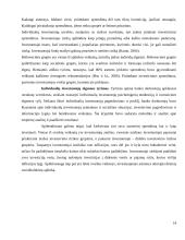 Iracionali individualių investuotojų elgsena 13 puslapis