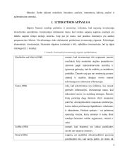 Iracionali individualių investuotojų elgsena 3 puslapis