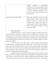 Iracionali individualių investuotojų elgsena 5 puslapis