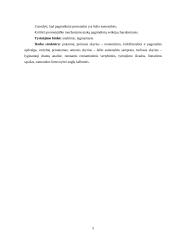 Lūžio asmenybės: V. Krėvės „Šarūnas“ ir „Skirgaila“ 4 puslapis