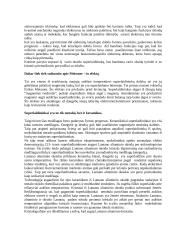 Superlaidininkai 6 puslapis