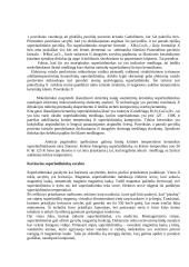 Superlaidininkai 7 puslapis