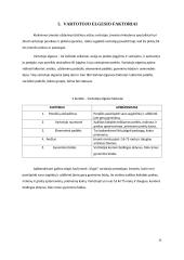 Gyvūnų prekių parduotuvės „Vizgis” veiklos analizė 10 puslapis