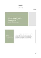 Gyvūnų prekių parduotuvės „Vizgis” veiklos analizė 17 puslapis