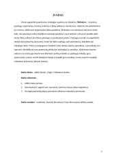 Gyvūnų prekių parduotuvės „Vizgis” veiklos analizė 2 puslapis