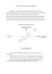 Gyvūnų prekių parduotuvės „Vizgis” veiklos analizė 7 puslapis