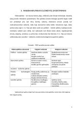 Gyvūnų prekių parduotuvės „Vizgis” veiklos analizė 8 puslapis