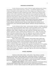 Referatas apie avietyną 3 puslapis