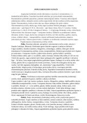 Referatas apie avietyną 5 puslapis