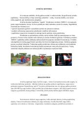 Referatas apie avietyną 8 puslapis