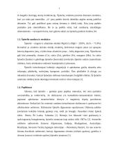 Špineliai 4 puslapis