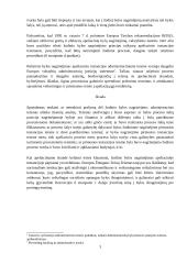 Žodinio ir rašytinio proceso administraciniame procese derinimas 3 puslapis