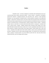 Tarptautinis organizavimas ir regioniniai prekybos blokai 12 puslapis