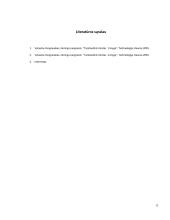 Tarptautinis organizavimas ir regioniniai prekybos blokai 13 puslapis