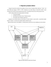 Tarptautinis organizavimas ir regioniniai prekybos blokai 8 puslapis